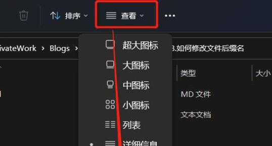 win11更改文件后缀方法