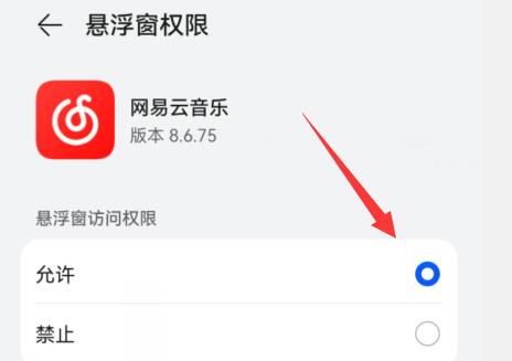 网易云音乐显示歌词在手机屏幕方法