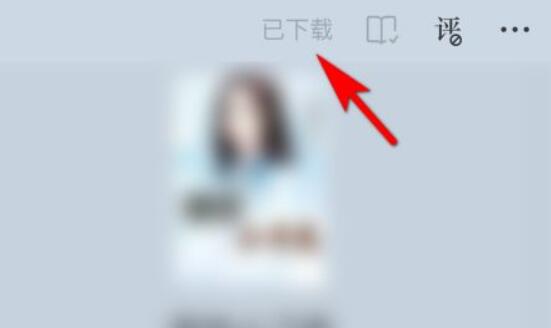 番茄小说下载里面的小说方法