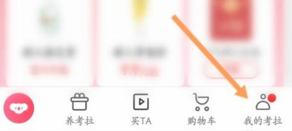 考拉海购退货方法
