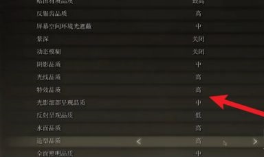 玩艾尔登法环卡掉帧解决教程