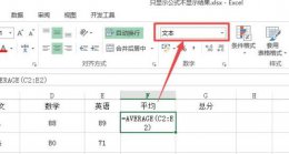 excel表中如何显示有公式但不显示结果 excel函数不显示结果只显示公式解决教程