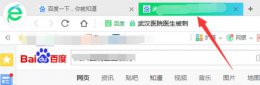 打开网页总是跳到别的网页 在浏览器打开网站就会跳到别的网站解决教程