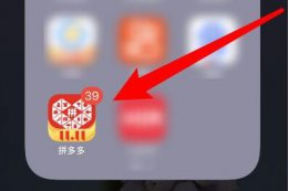 拼多多先用后付关闭方法 怎么关闭拼多多先用后付