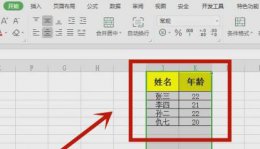 怎样在excel中筛选想要的数据 excel筛选出自己想要的数据教程