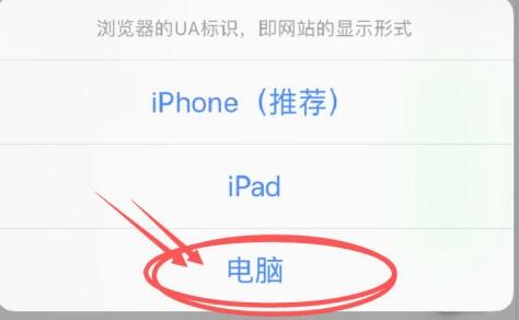 百度浏览器电脑版切换方法