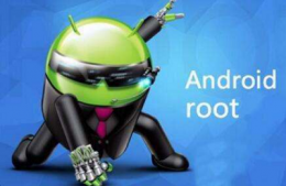 root什么意思详细介绍 root是什么意思中文翻译是什么意思