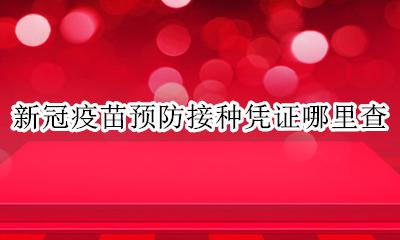 新冠疫苗接种证明怎么查 新冠疫苗预防接种凭证哪里查