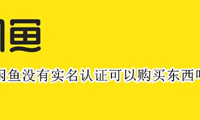 闲鱼没有实名认证可以购买东西吗? 闲鱼不能实名认证买不了东西怎么办