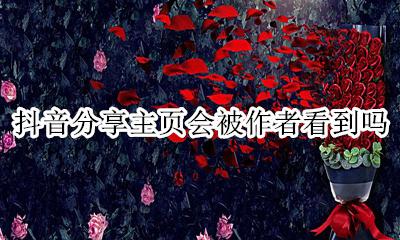 抖音分享主页会被作者看到吗 抖音作者能看到谁分享了自己的作品吗