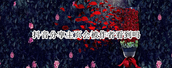 抖音分享主页会被作者看到吗