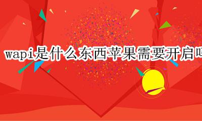 wapi是什么东西苹果需要开启吗 iphone wapi需要开启吗