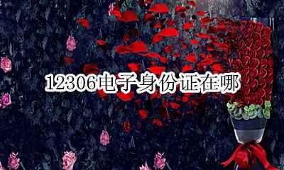 12306身份证号 12306电子身份证在哪