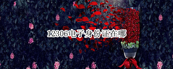 12306电子身份证在哪