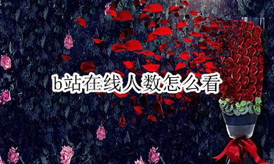 b站在线人数怎么看 b站怎么看观看人数
