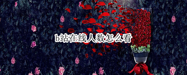 b站在线人数怎么看