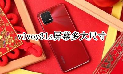 vivoy31s 手机参数 vivoy31s屏幕多大尺寸