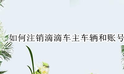 滴滴车主怎么注销账户 如何注销滴滴车主车辆和账号
