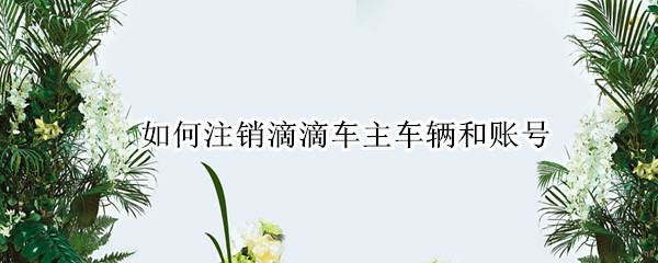如何注销滴滴车主车辆和账号