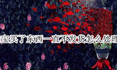 淘宝买了东西一直不发货怎么处理 淘宝上买的东西一直不发货怎么办