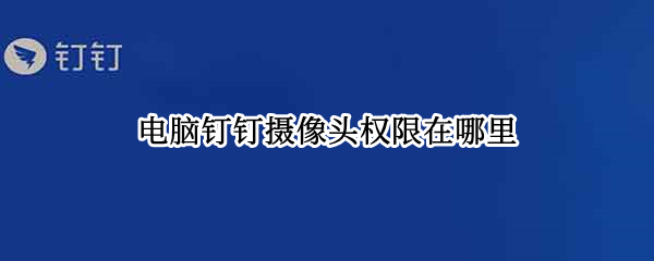 电脑钉钉摄像头权限在哪里