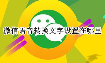 微信语音变成文字怎么设置 微信语音转换文字设置在哪里