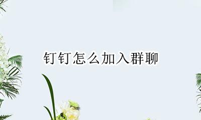 钉钉怎么加入群聊 钉钉群怎么加入群聊
