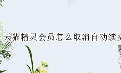 如何取消天猫会员自动续费 天猫精灵会员怎么取消自动续费