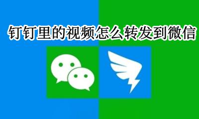 钉钉视频怎么分享到微信里 钉钉里的视频怎么转发到微信