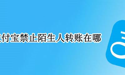 支付宝禁止陌生人转账在哪 支付宝设置了禁止陌生人转账 要在哪解除