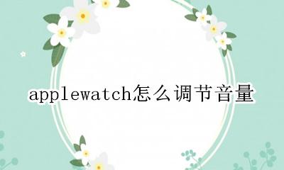 applewatch控制音量 applewatch怎么调节音量