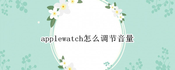 applewatch怎么调节音量