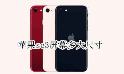 苹果se3屏幕多大尺寸 苹果se3屏幕尺寸多大