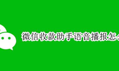 微信收款助手语音播报怎么设置 微信收款助手语音播报怎么不播了
