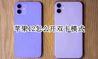苹果12怎么开双卡模式 苹果12怎么开双卡双待