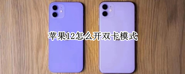 苹果12怎么开双卡模式