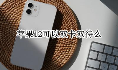 苹果12可以双卡双待么 苹果12支持双卡双待吗