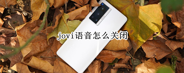 jovi语音怎么关闭
