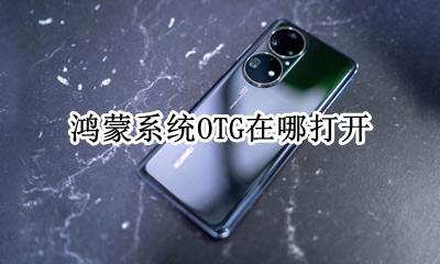 鸿蒙系统怎么使用 鸿蒙系统OTG在哪打开