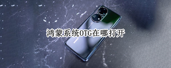 鸿蒙系统OTG在哪打开