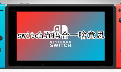 switch五码合一啥意思 switch二码合一和三码合一