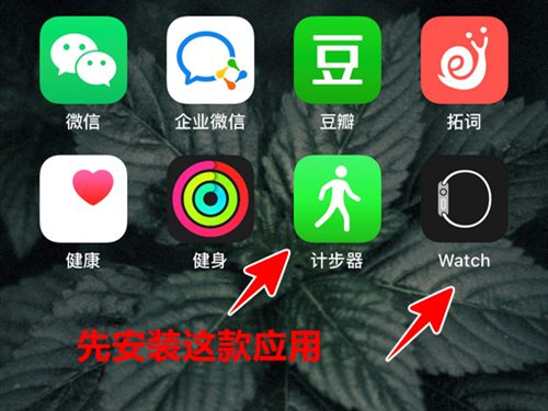 苹果手表怎么显示运动步数