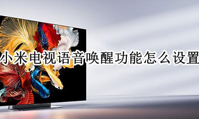 小米电视如何使用语音功能 小米电视语音唤醒功能怎么设置