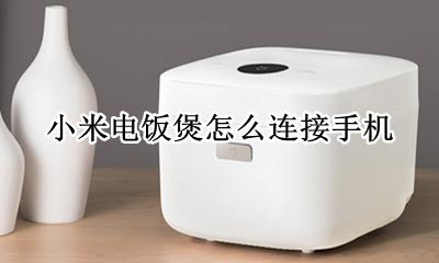 米家电饭煲怎么连接 小米电饭煲怎么连接手机