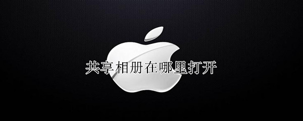 共享相册在哪里打开