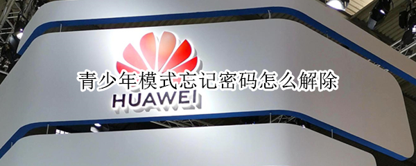 青少年模式忘记密码怎么解除