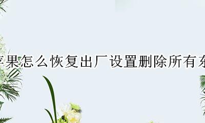 苹果怎么恢复出厂设置删除所有东西 苹果手机怎么恢复出厂设置删除所有东西