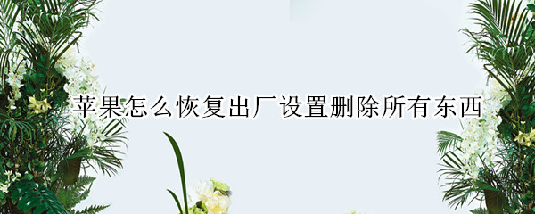 苹果怎么恢复出厂设置删除所有东西