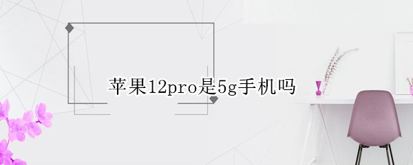 苹果12pro是5g手机吗