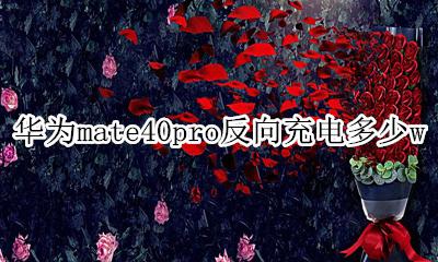 华为mate40pro电量多少 华为mate40pro反向充电多少w